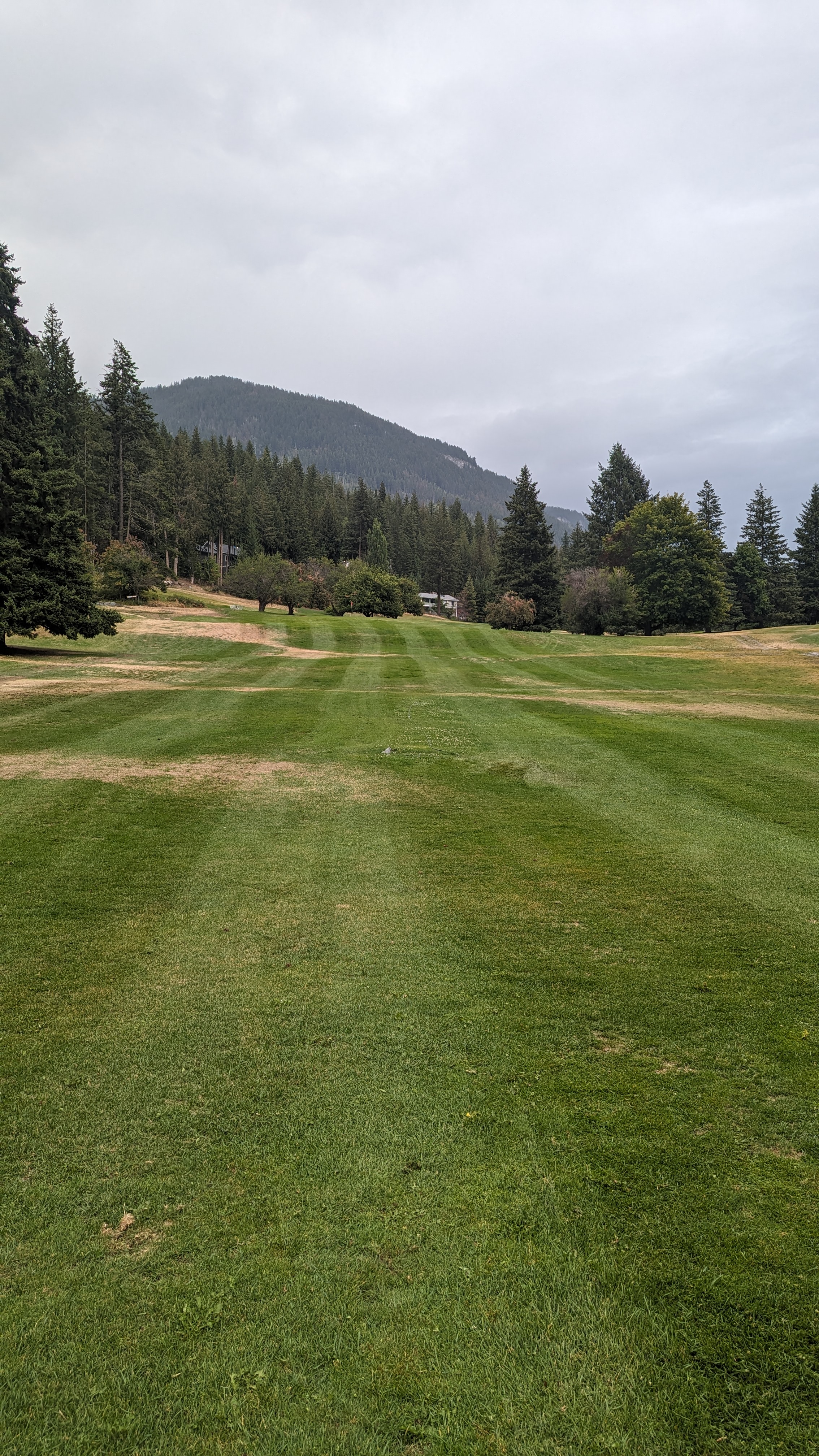 Course view